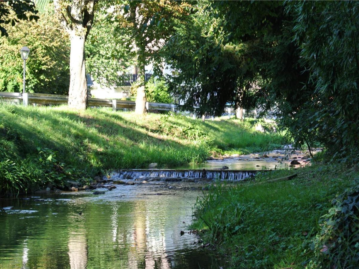 Landhaus Edelmann Mullheim  Exteriör bild